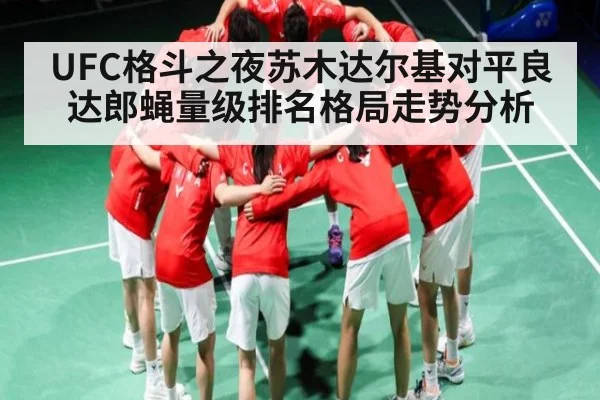 UFC格斗之夜苏木达尔基对平良达郎蝇量级排名格局走势分析